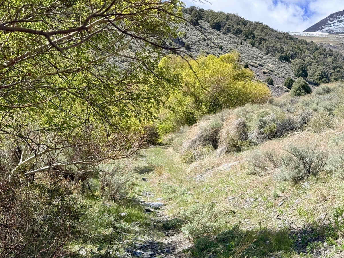 Blakely Canyon photo 6