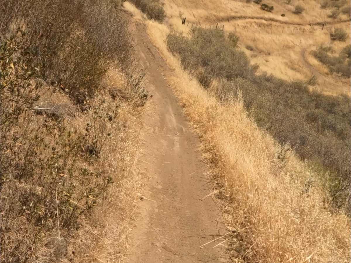 Ridge trail photo 5