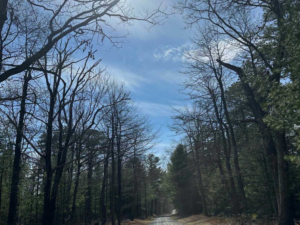 Ridge Central trail photo