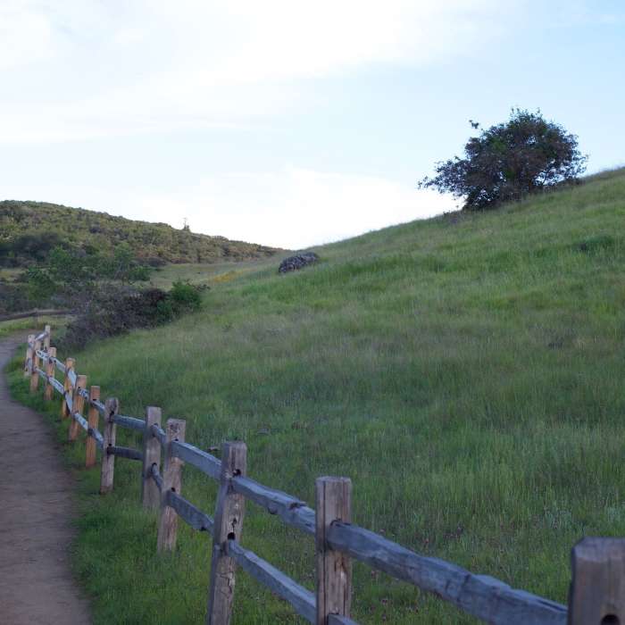Near Sylvan Trail