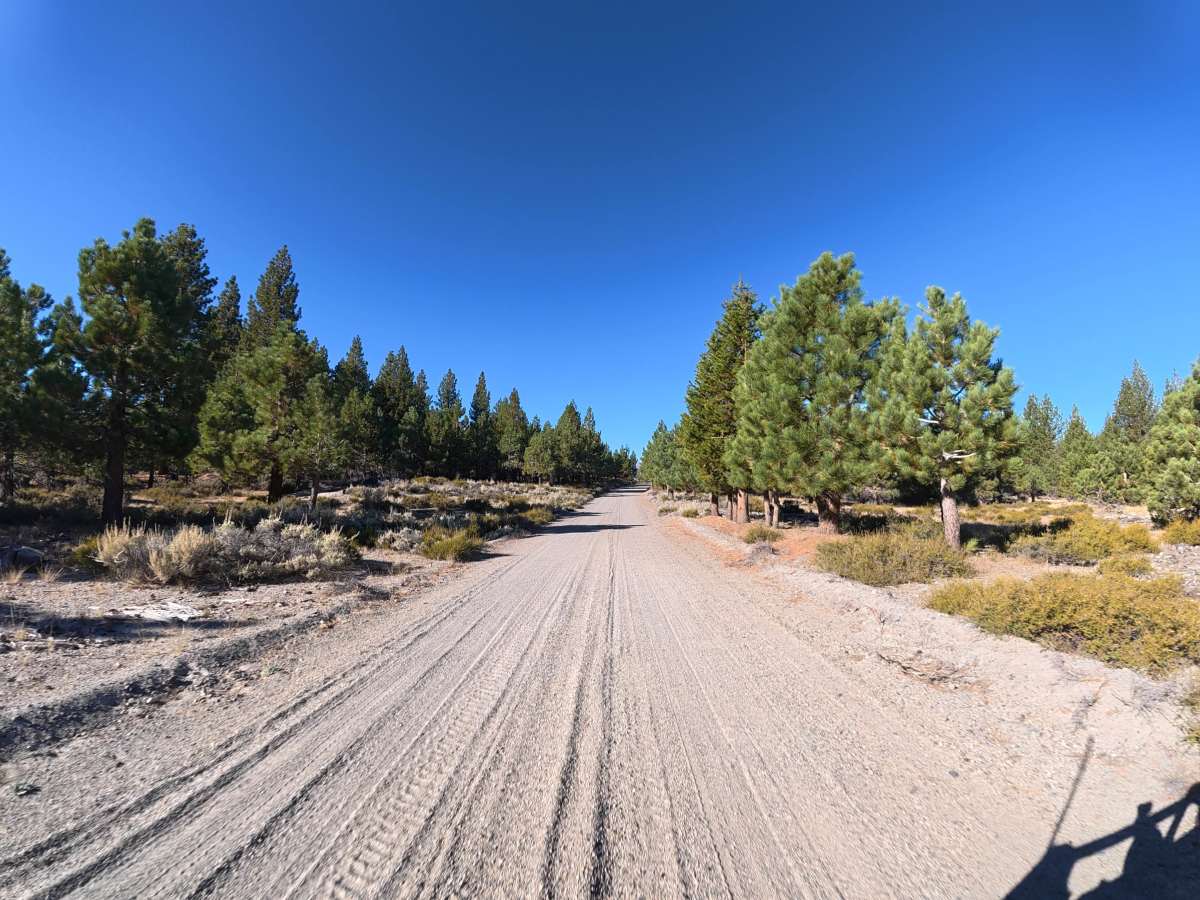 Logging Camp Road trail photo