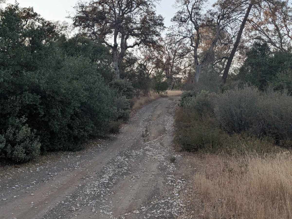 Ponderosa Way Cutoff photo 5