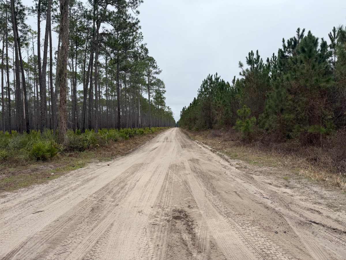 Southeast County Line Road trail photo