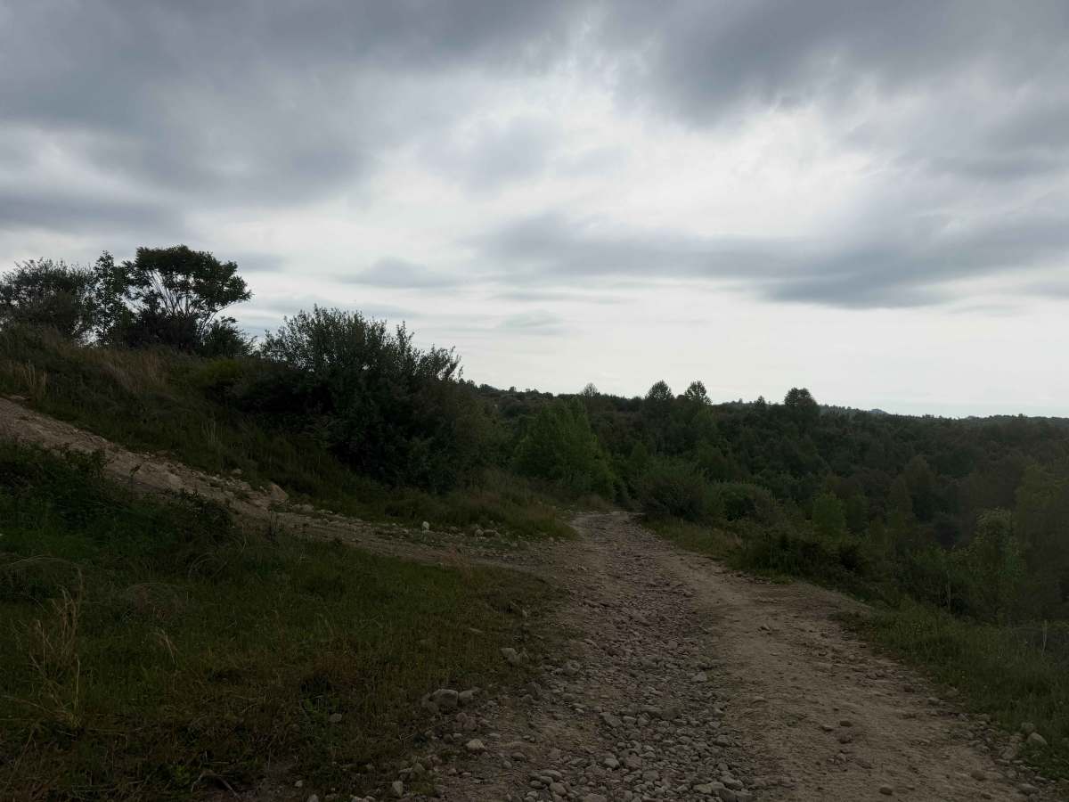 46 photo 2