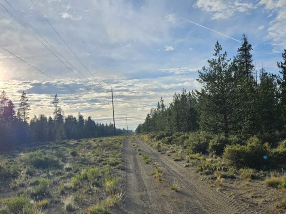 FS 2400017 trail photo