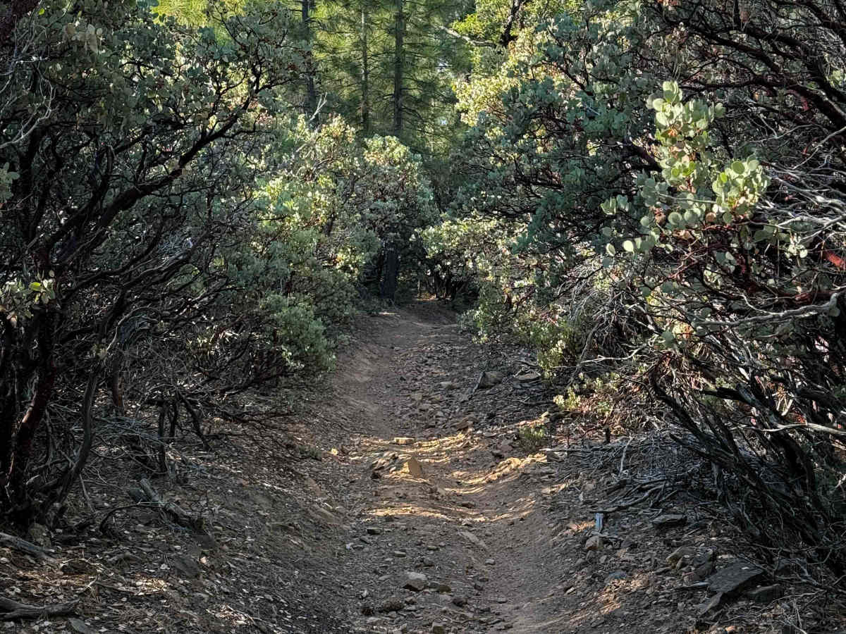 Trail 4-1 (11E35)  photo 2
