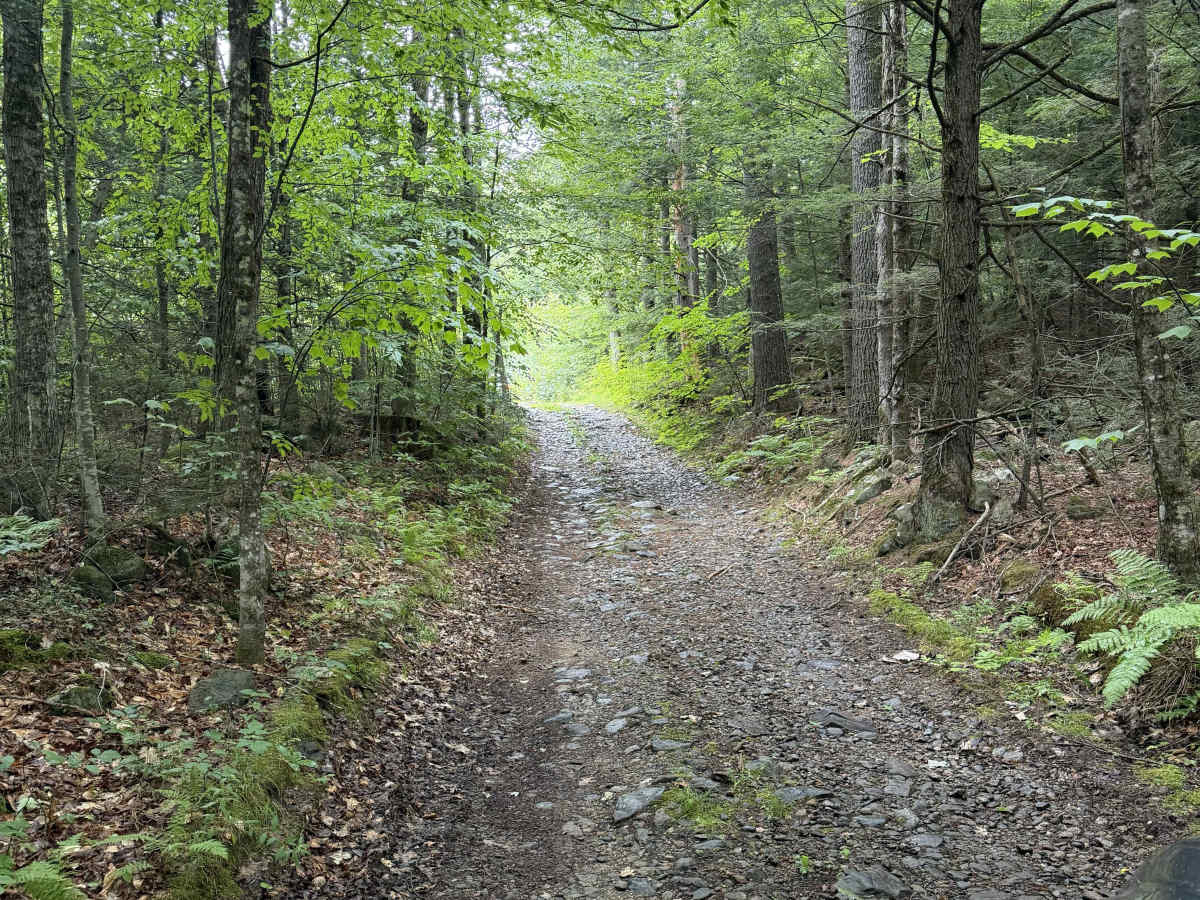 Dummer Road photo 5