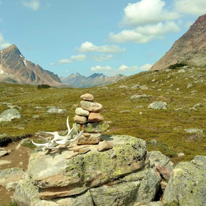 Jonas Pass, looking northwest. Near Brazeau Loop