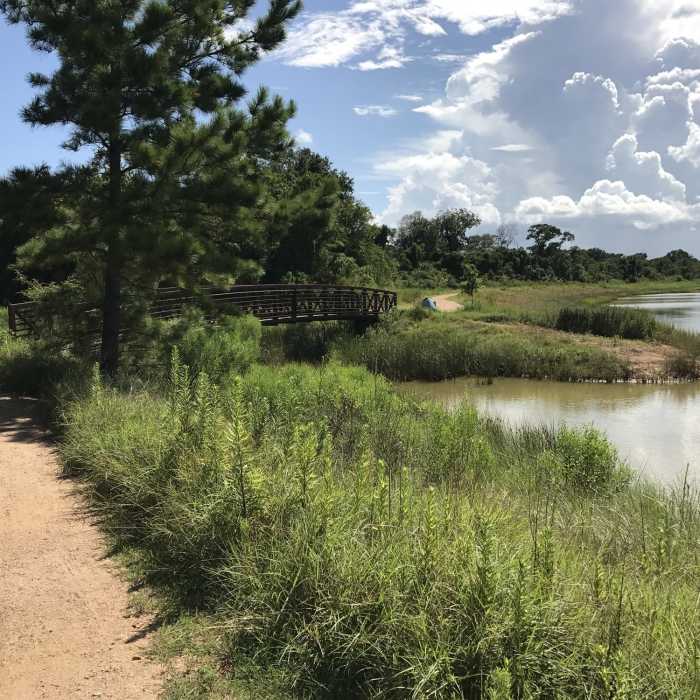 Near Seabrook Hike and Bike Trail