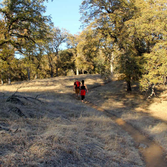 Near Point Defiance Loop Trail