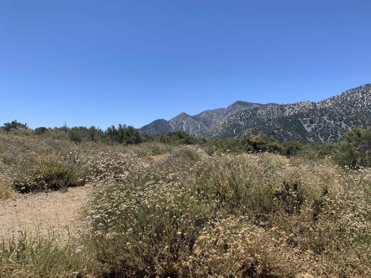 Sharpless Ranch photo 3
