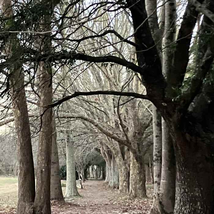 Near Etowah River Walk Nature Trail