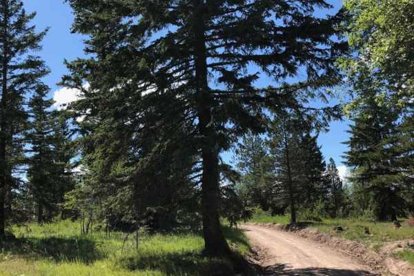 Bethel Ridge Road East