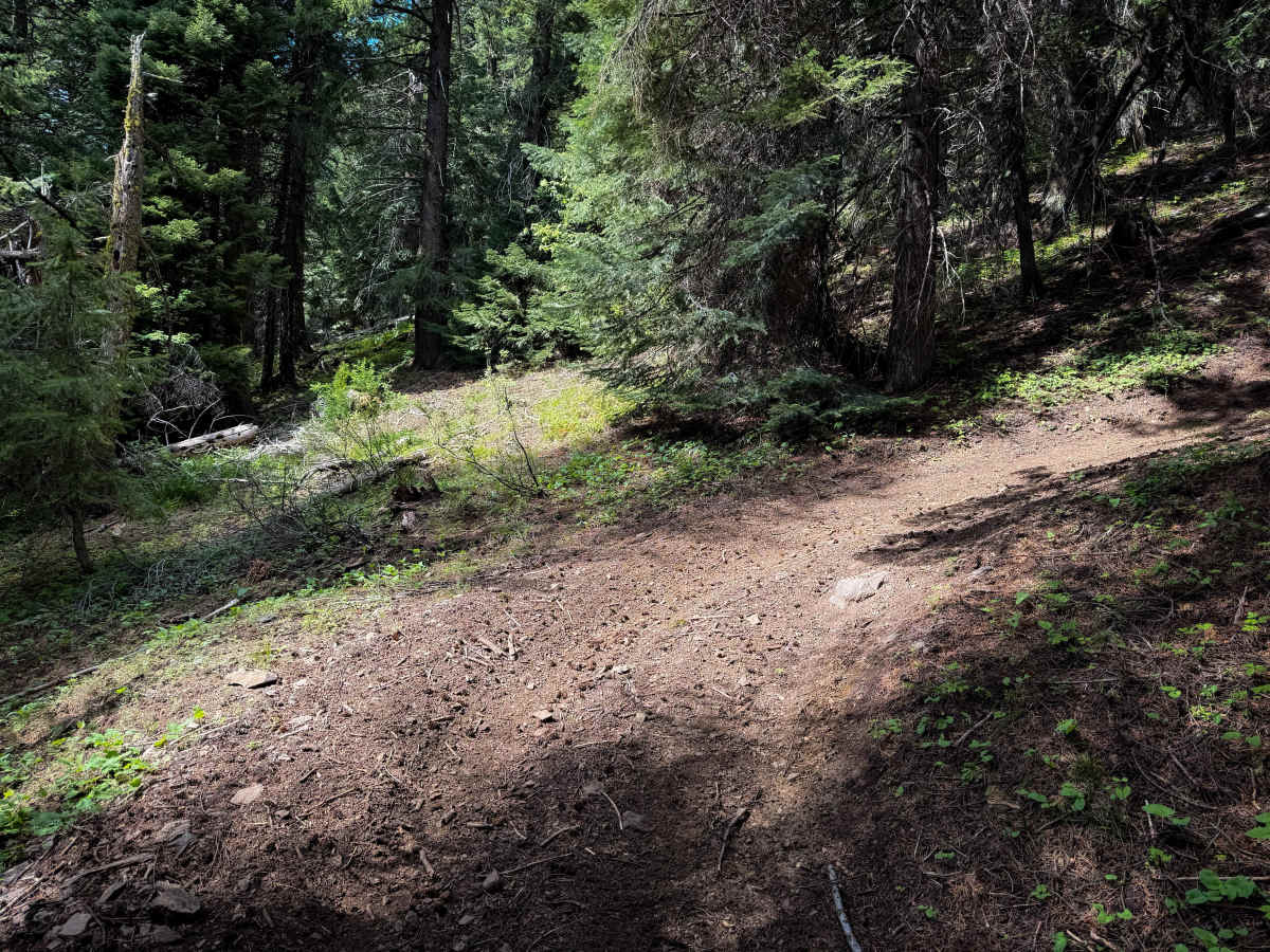 Upside - Trail 490  photo 5