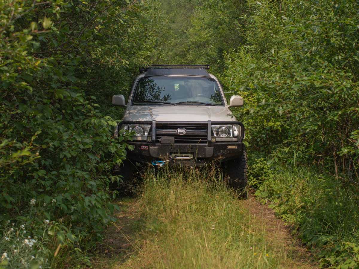 Pine Mountain Forest Road photo 5
