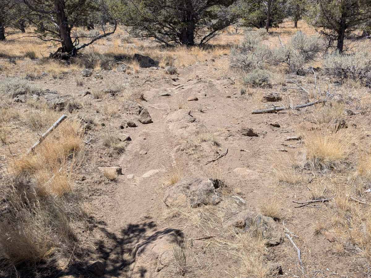 Cline Buttes OHV Trail 20 Loop photo 4