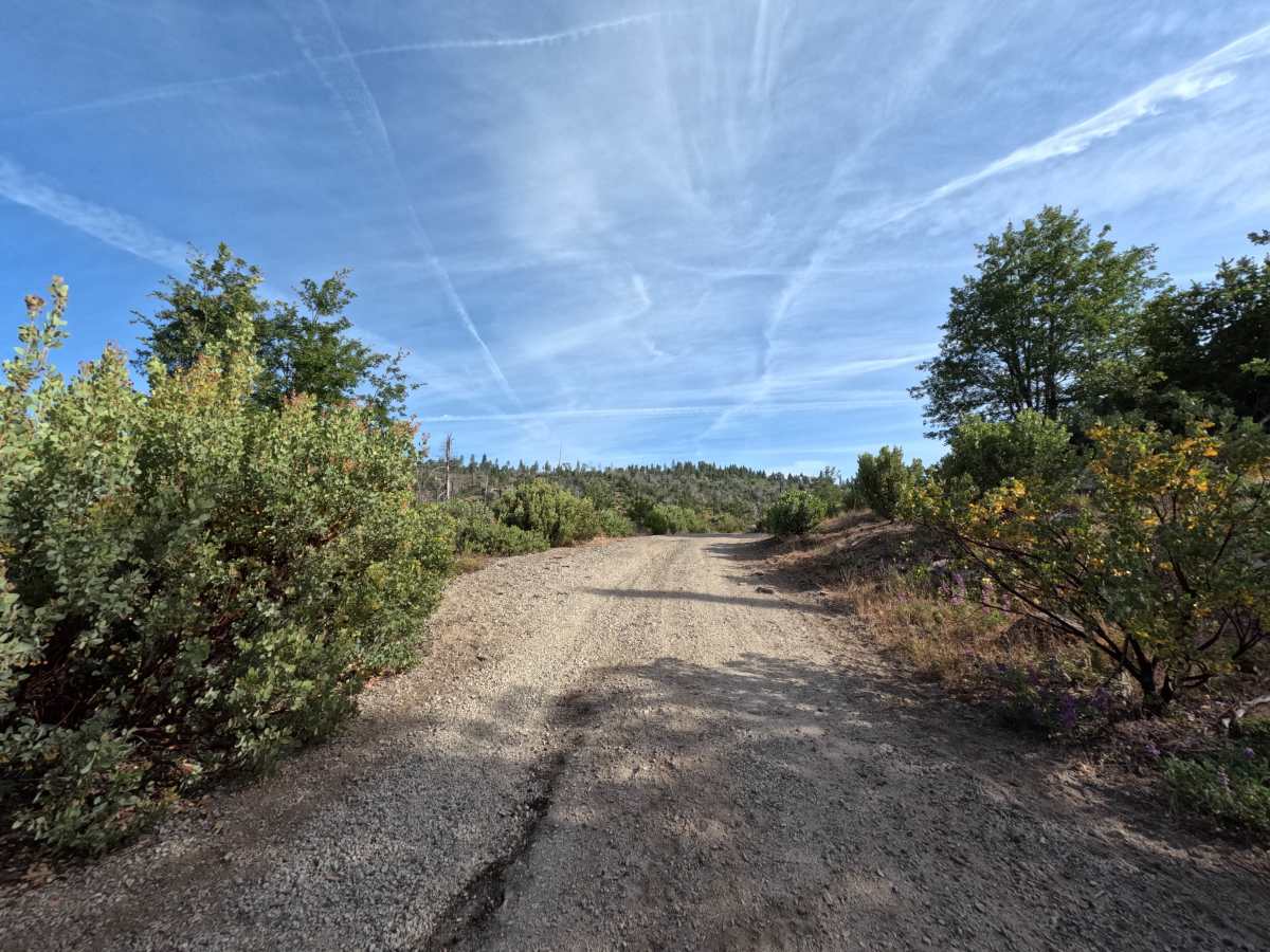 FS 1S82 trail photo