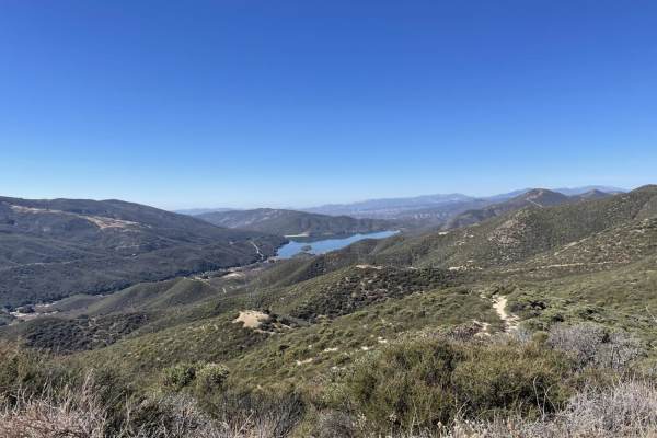 Leona Divide