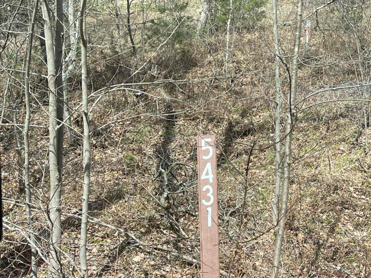5431 Skidder Hill trail photo