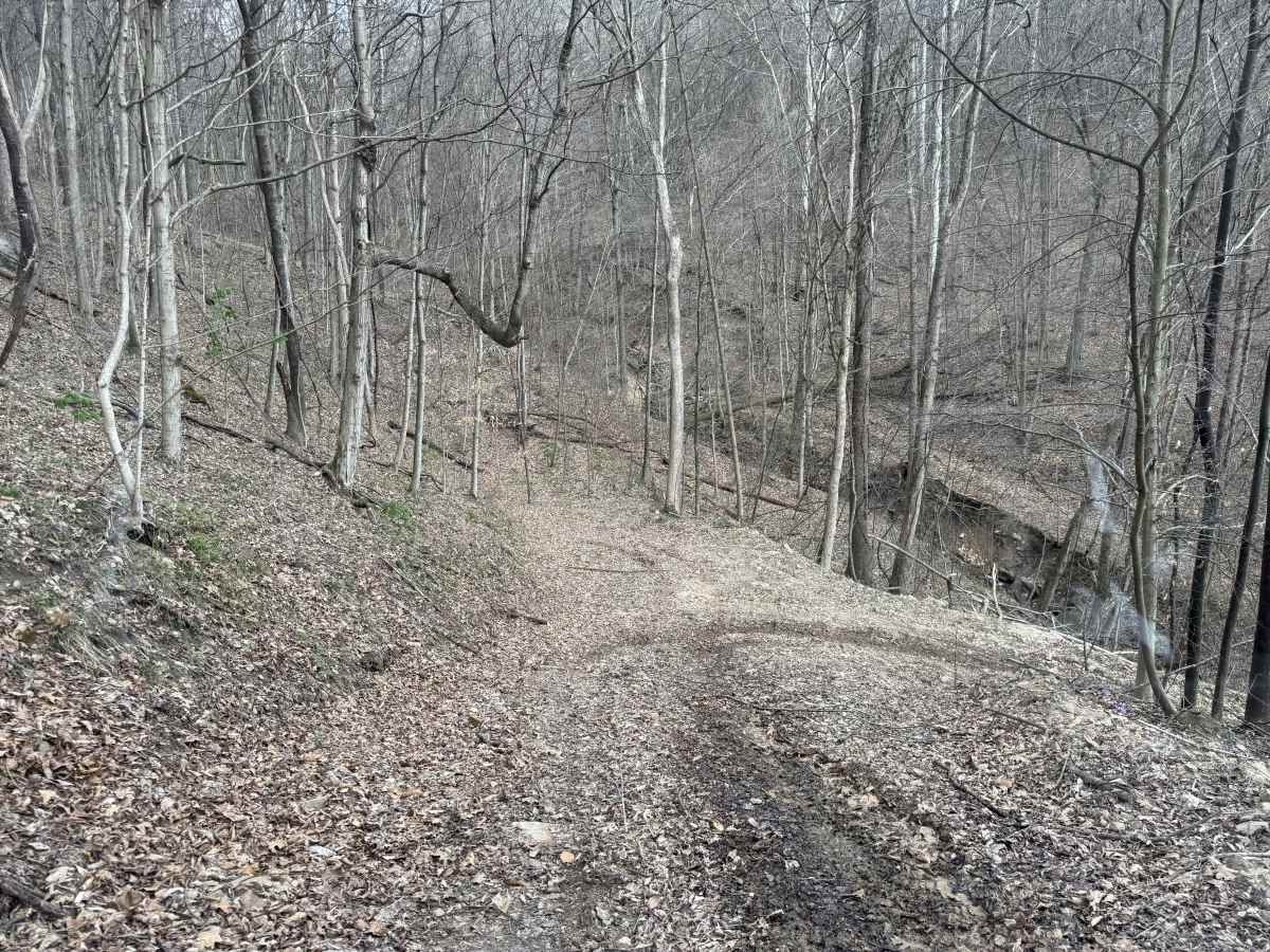 Q24 photo 3