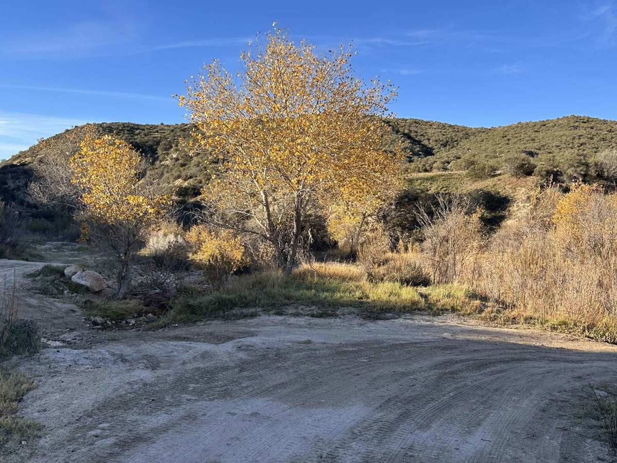 Cleghorn CA-15 Overlook photo 6