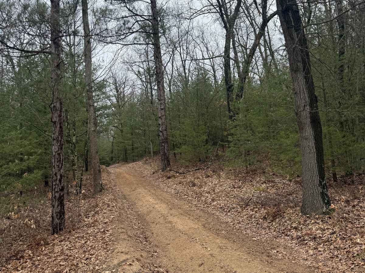 FS 8429 trail photo
