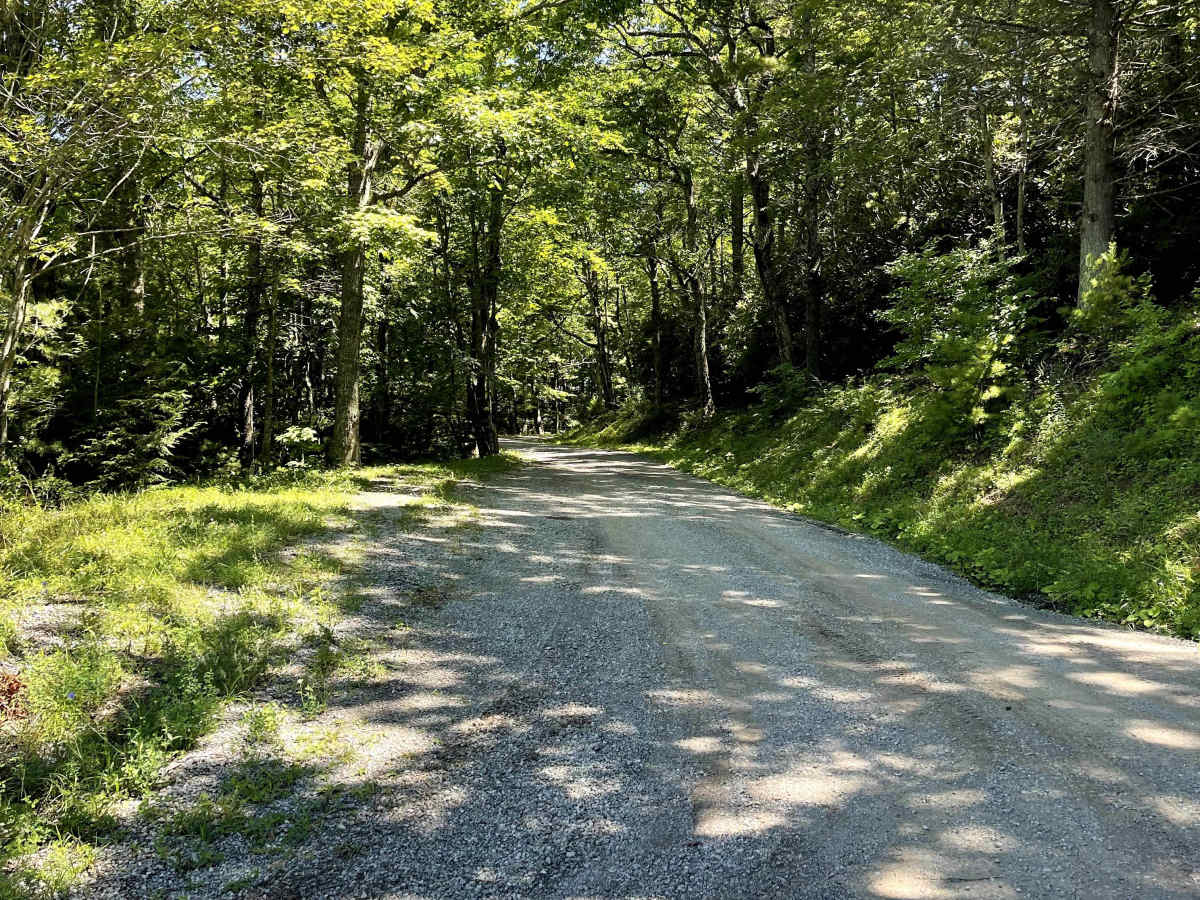 Cornflower Road photo 4