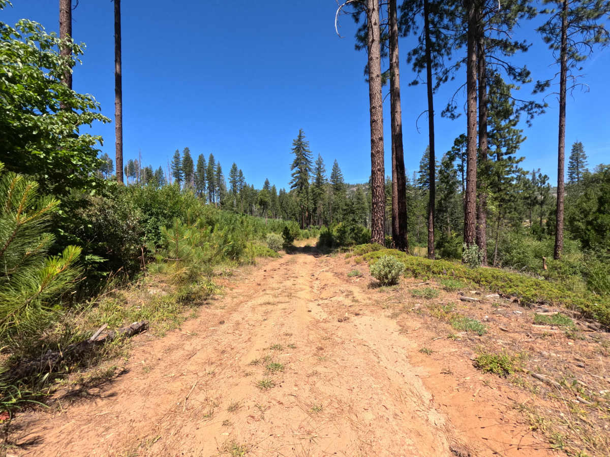FS 19EV135 photo 3
