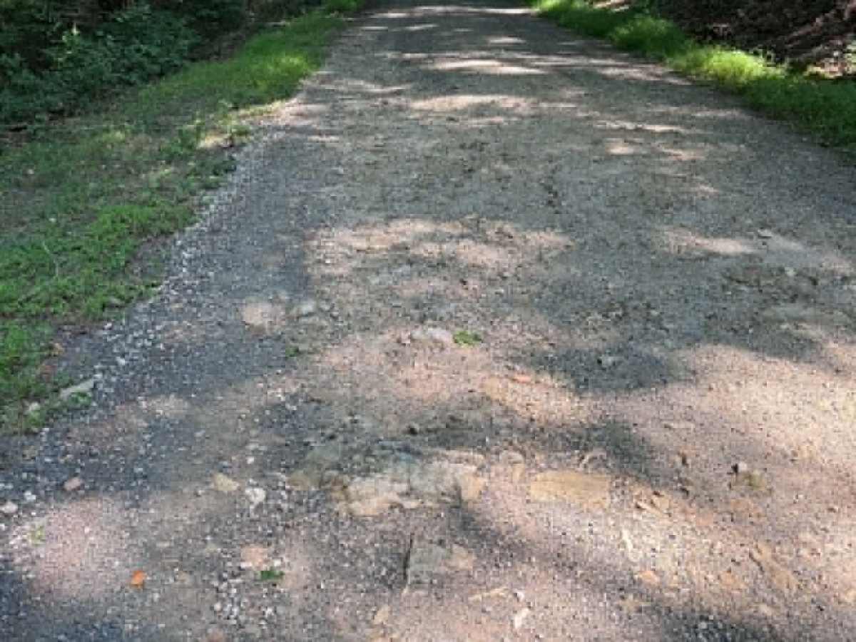Big Pond Hollow photo 4