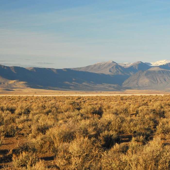 Near Borax Lake + Borax Lake Hot Springs
