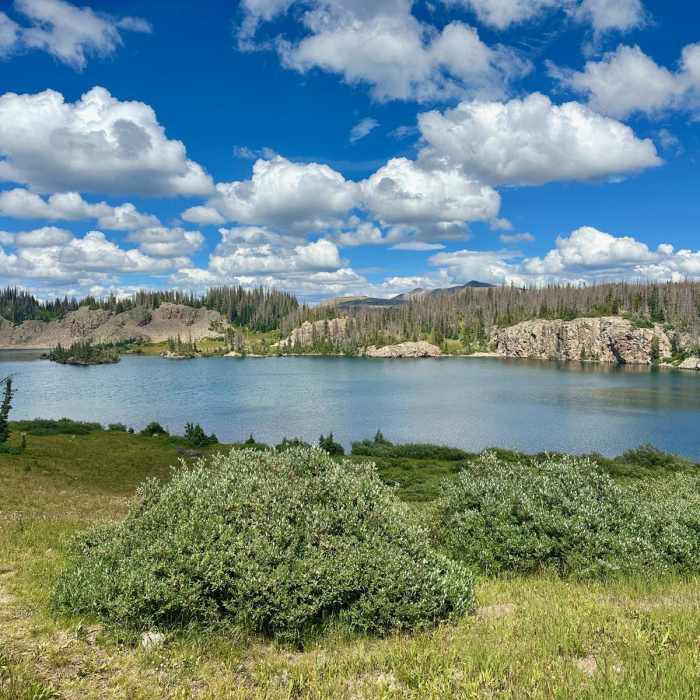 Near Continental Divide Trail: Colorado Section 1