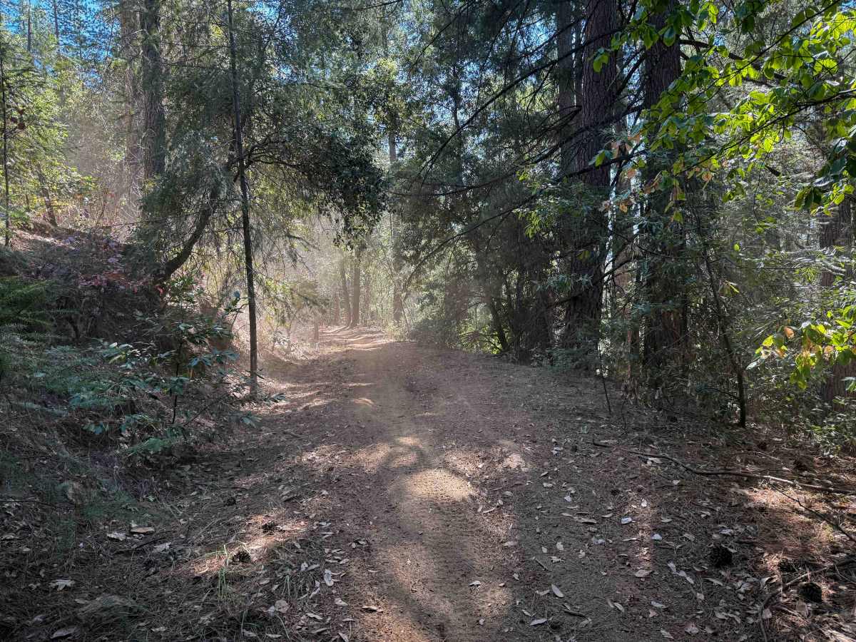 Trail 1-2 (11E36)   photo 4