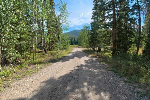Spruce Creek Road
