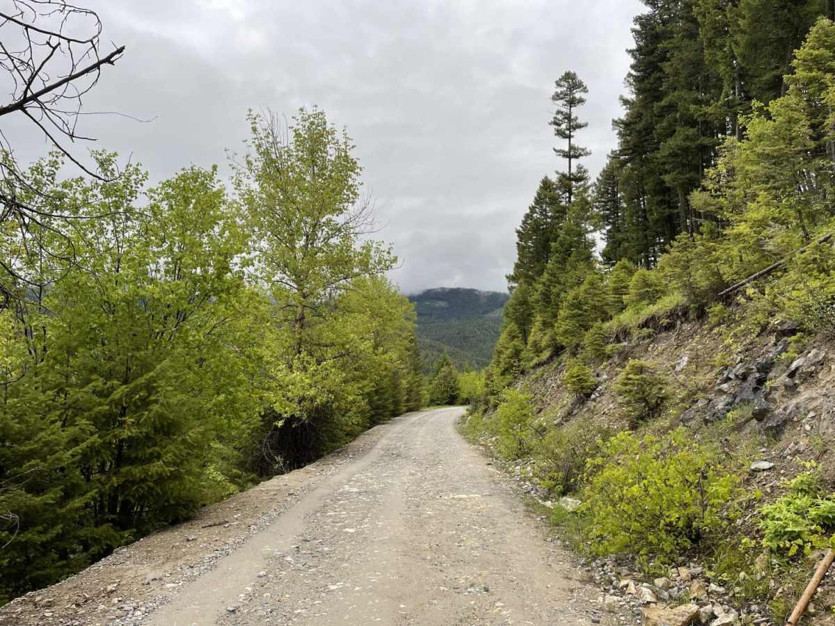 Eastern Garnet Range Road photo 6