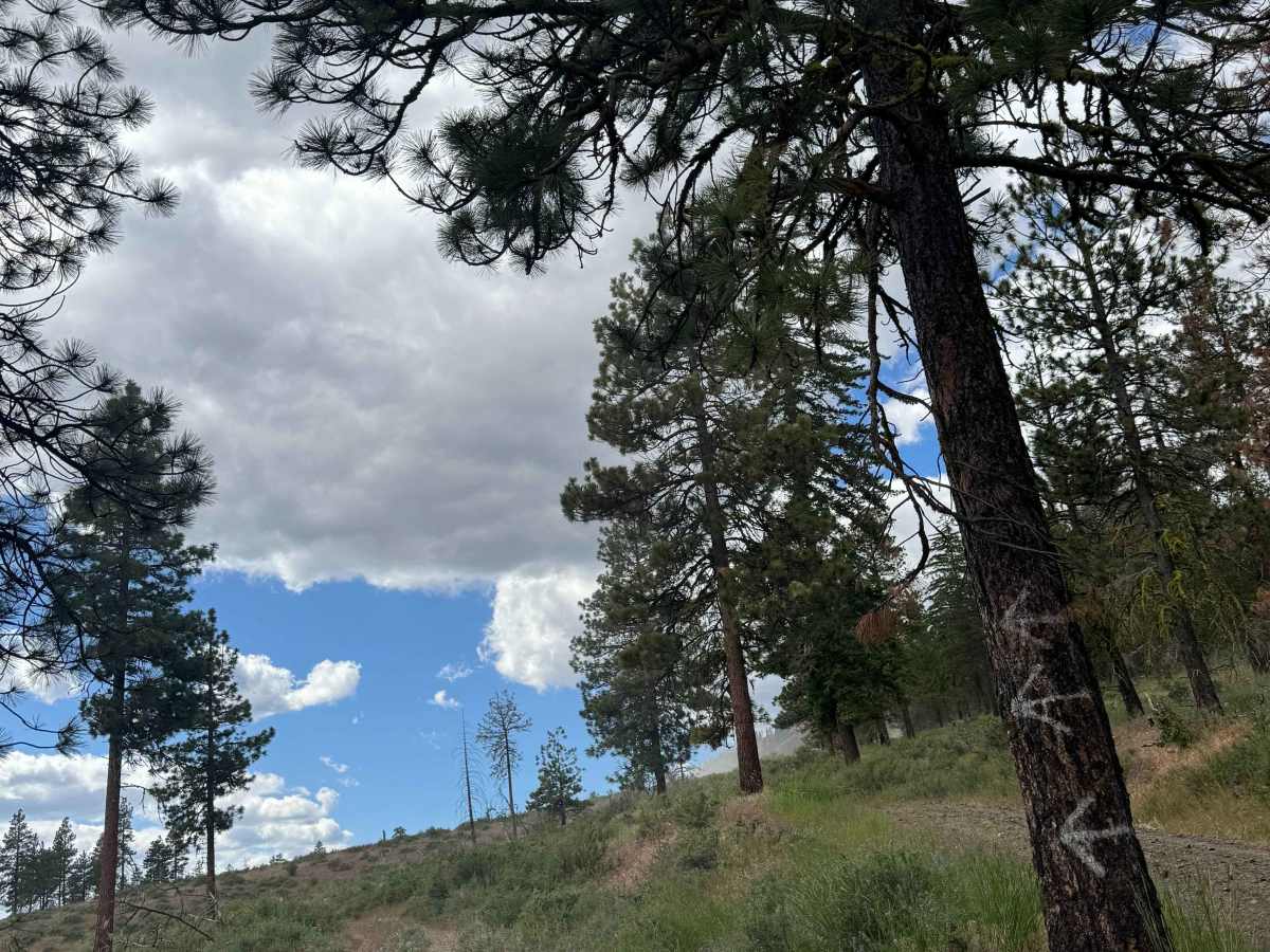 Garrett Canyon Road trail photo