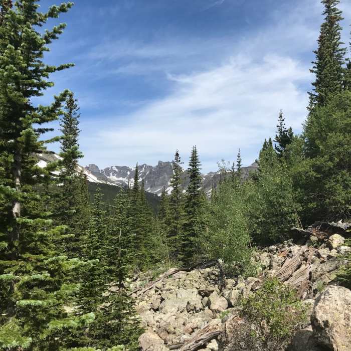 Near Saint Vrain Mountain Trail #915