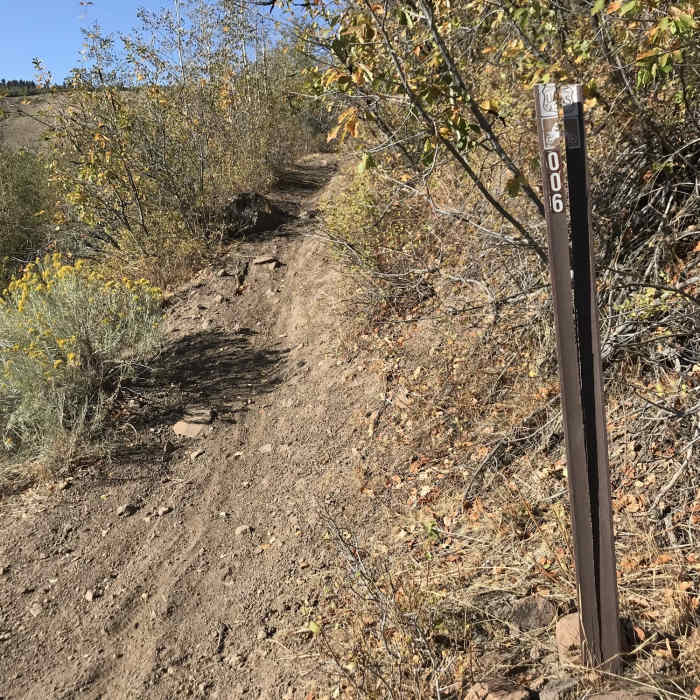 Near First Fork Rock Creek Trail #237
