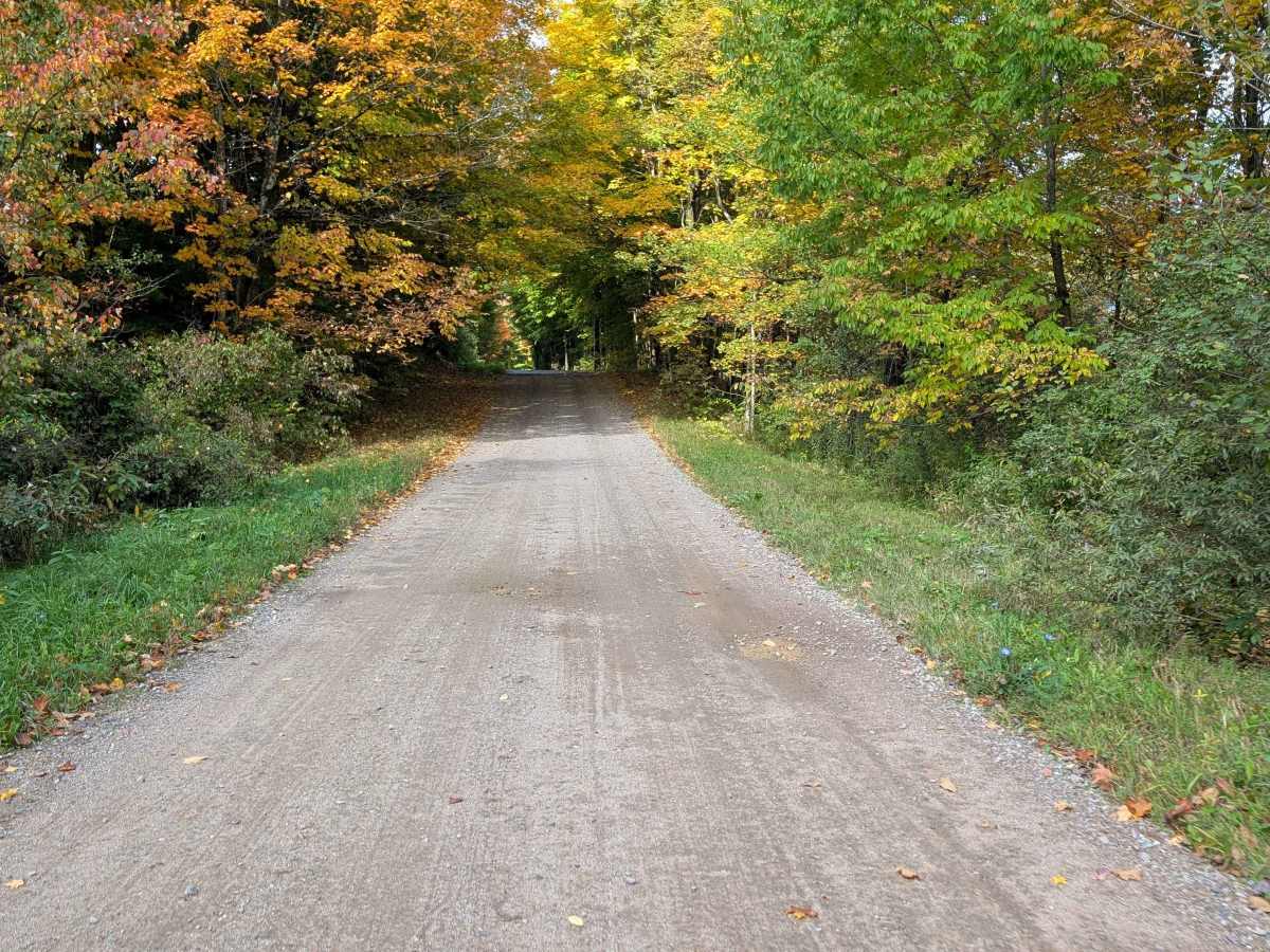 Boyd Pond Access Road photo 5