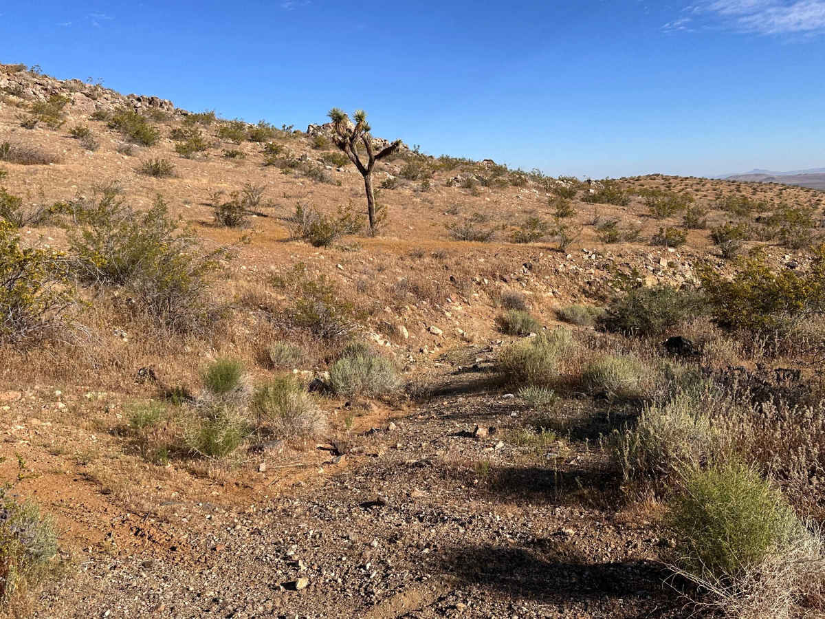 High Desert Hook photo 4