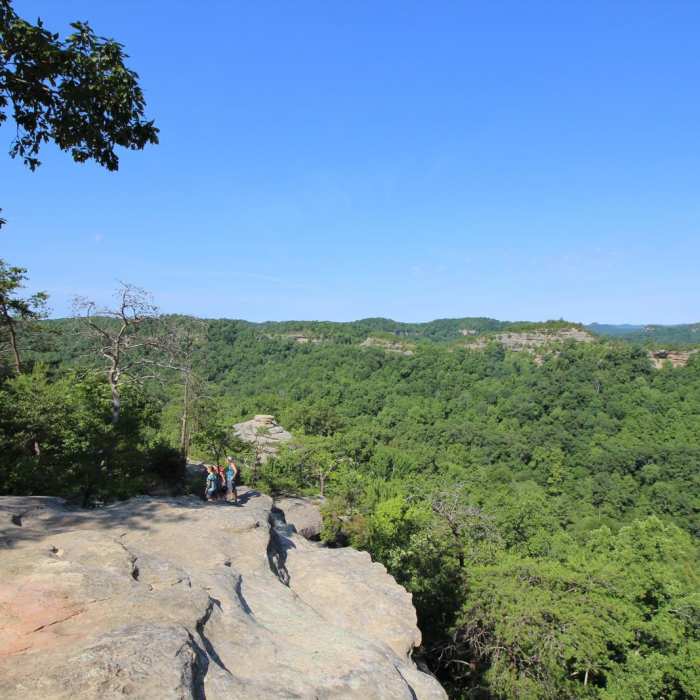 Near Auxier Ridge Loop Trail