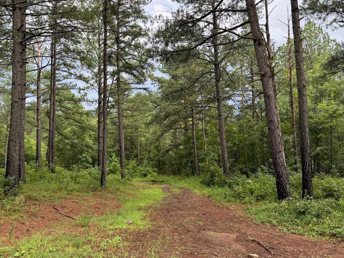 Dirty Deeds  trail photo