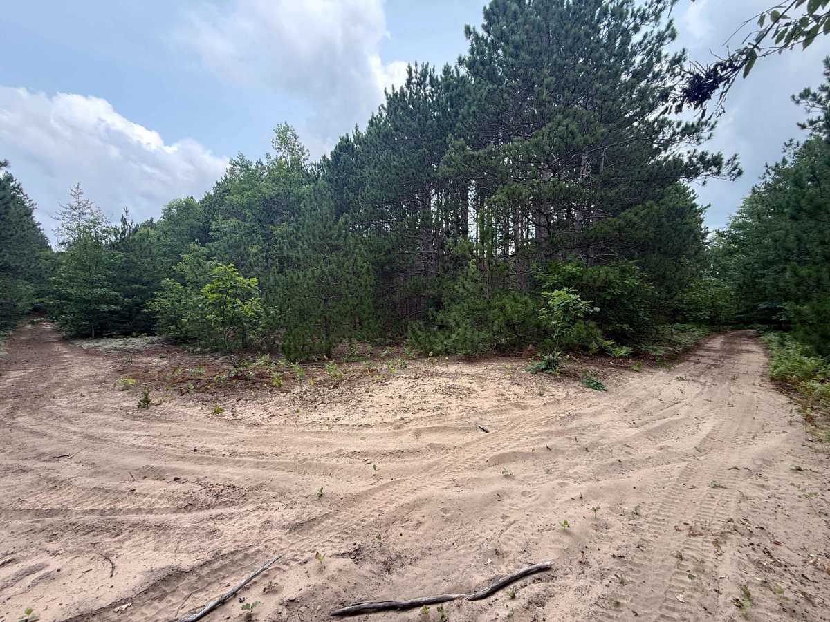 East Buchanan-Pierce Trail photo 6