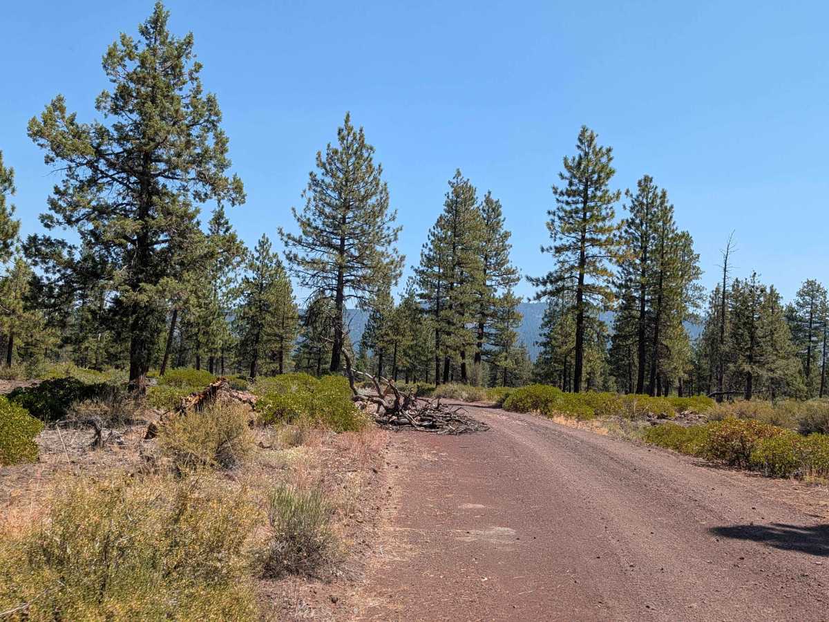 Old Camp Two - FS 41N03 photo 3