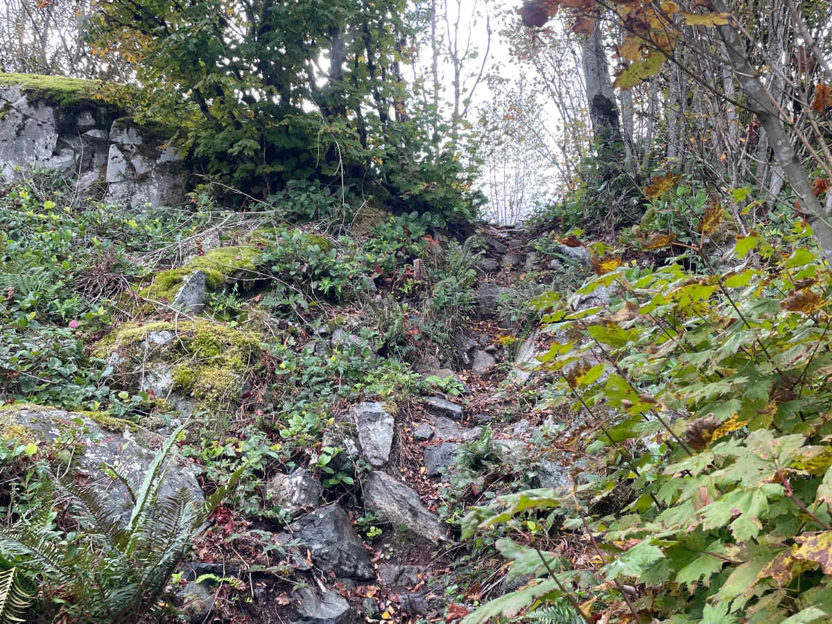 Pinball trail photo