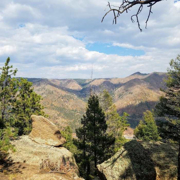 Near Crowe Gulch Trail