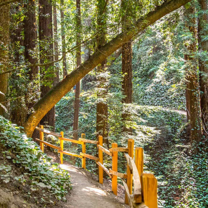 Near Joaquin Miller Park Loop