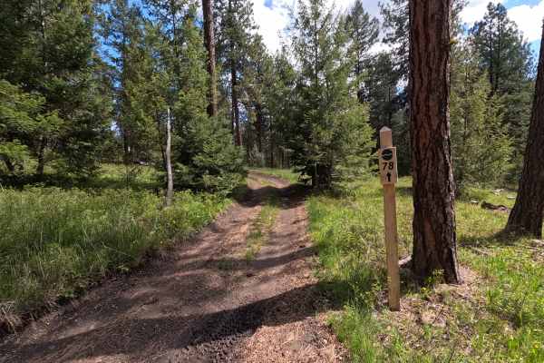 Trail 78