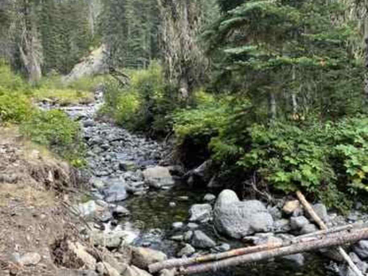 Upper Fortune Creek photo 3