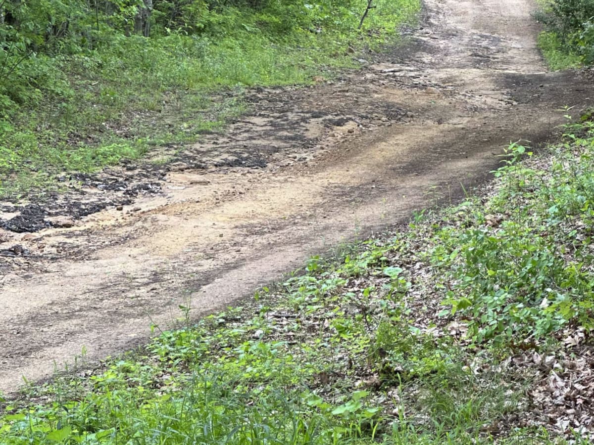 101b trail photo