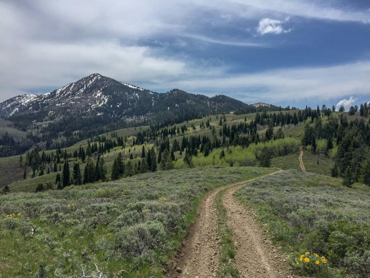 Oxford Peak Loop trail photo